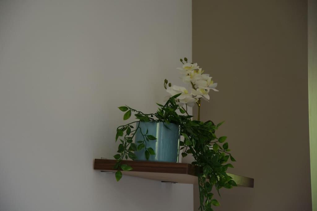 Elegant T2 A Bron, Tramway A 2Min, Box Parking, 4Personnes Apartment Exterior foto